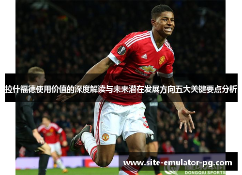 拉什福德使用价值的深度解读与未来潜在发展方向五大关键要点分析