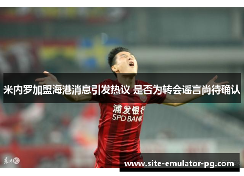 米内罗加盟海港消息引发热议 是否为转会谣言尚待确认