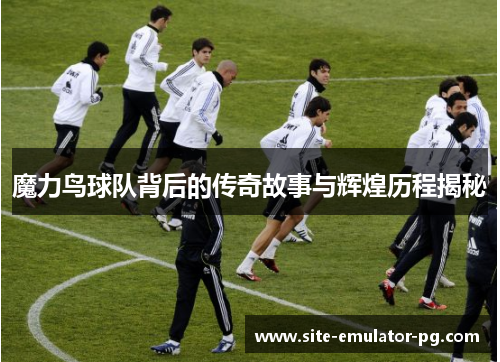 魔力鸟球队背后的传奇故事与辉煌历程揭秘 魔力鸟球队背后的传奇故事与辉煌历程揭秘