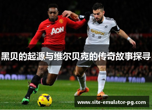 黑贝的起源与维尔贝克的传奇故事探寻 黑贝的起源与维尔贝克的传奇故事探寻