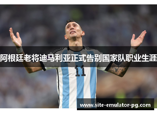 阿根廷老将迪马利亚正式告别国家队职业生涯 阿根廷老将迪马利亚正式告别国家队职业生涯